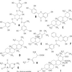 Descubren un componente natural que inhibe el apetito