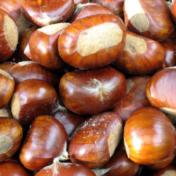 Castañas, fruto seco reconstituyente