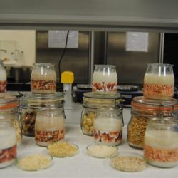 Investigadores desarrollan productos a partir de cereales y frutos secos como alternativa a los yogures convencionales
