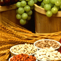 2014rako zenbait aholku osasungarri (III)