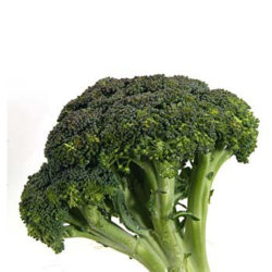 Brokolia