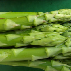 El espárrago verde, una hortaliza exquisita