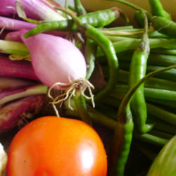 El consumo de verduras, un hábito saludable para los niños