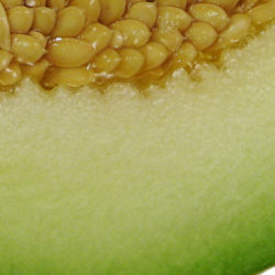 El melón, fruta estrella del verano