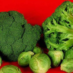 Entrenar al cerebro para que prefiera la comida sana