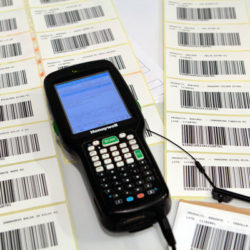 Entrevista: "Comprar con cabeza minimiza los impactos medioambientales"