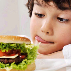Alimentos que contribuyen a nuestro rendimiento intelectual