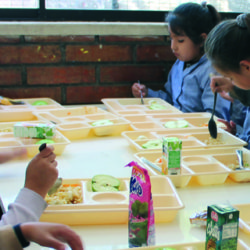 Comedores escolares: nuevos retos en los centros educativos