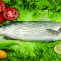 Consumir pescado semanalmente protege la materia gris cerebral