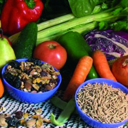 Día Mundial de la Nutrición