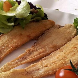 Pescado: El alimento «estrella» de una dieta saludable