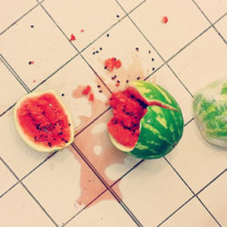 ¿Comes algo que se ha caído al suelo? La regla de los 5 segundos