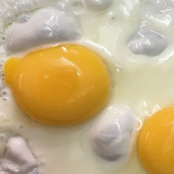 Los huevos y la leche se introducirán gradualmente en la alimentación de niños alérgicos