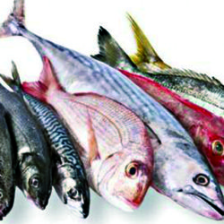 Los 5 errores que todos solemos cometer con el pescado