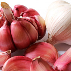 El ajo, fuente de salud