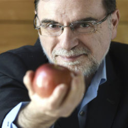Entrevista: "La obesidad no es exclusivamente genética ni ambiental, sino la interacción de ambas"