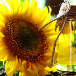 El aceite de girasol
