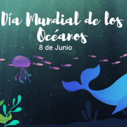 Día Mundial de los Océanos: "Limpiemos nuestros océanos"