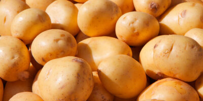 patatas nuevas