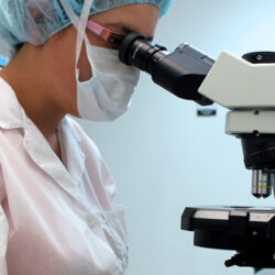 Impulso al desarrollo de alimentos funcionales y nutracéuticos mediante tecnologías ómicas