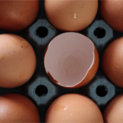 Marcos para una alimentación responsable