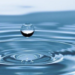 Economía circular e innovación tecnológica, claves para una gestión sostenible del agua en la industria agroalimentaria