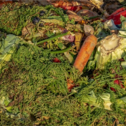 Concienciación y búsqueda de soluciones para combatir el desperdicio alimentario